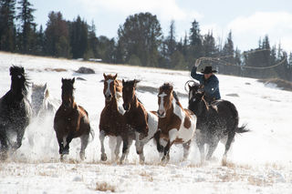 Winter round up
