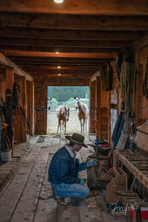 Shoeing