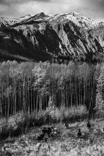Down from the High Country