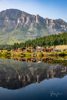 Water hole