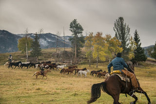 The Chase