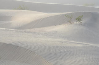 Death Valley Photography Print Dunes stick together