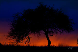 Texas Photo Print