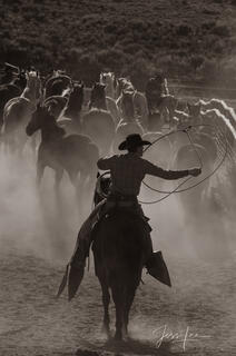 roper, shadow,cowboy,