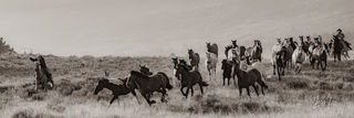 The Chase 