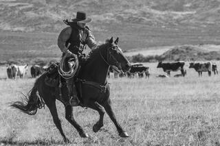 Cowboy Black and White Photo Print
