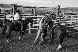 Saddle up