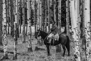 Cowgirl on horseback waiting in the woods.
