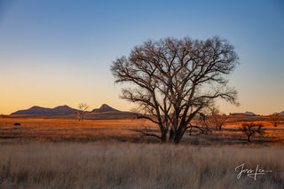 Sunset over the Arizona grasslands.   Desert Photography Print