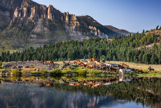 High Mountain Cowboy and horse paradise