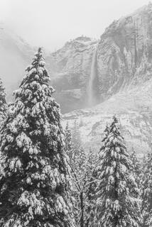 Misty Falls