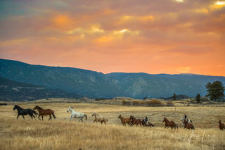 Sunrise Roundup | fine art western print