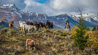 Returning Home from the High Country 