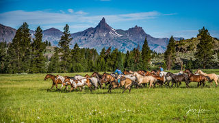 Pilot Peak Horse Herd 