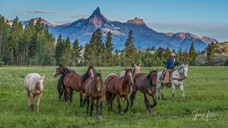 Wyoming Summer | Cowgirl and Horses under the Beartooth Mountains 