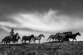 Texas Photo Print