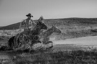 Cowboy Black and White Photo Print
