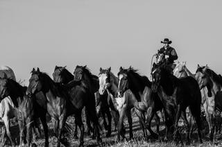 Cowboy Black and White Photo Print