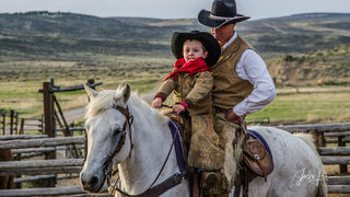 Bring them up cowboy
