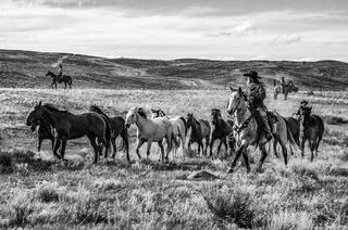 Open Range
