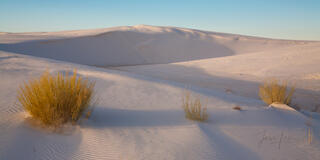 White Sands National Park Sand Dune Picture
