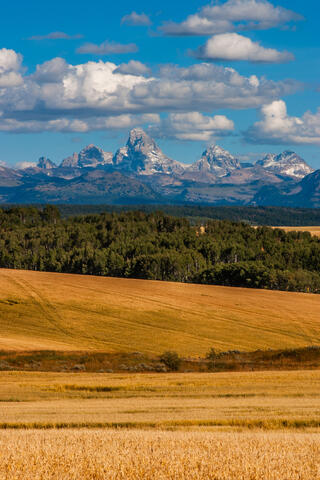 Tetons Palouse