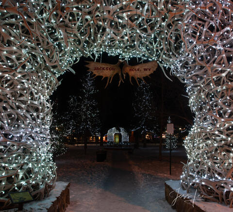 Elk Antler Arch
