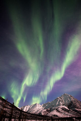 Arctic Circle Aurora