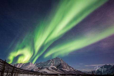 The Aurora Borealis in Alaska putting on a light show by light of the moon. 
