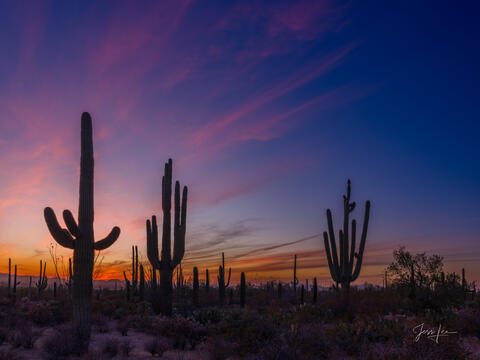 This large-format Fine-Art Photography Print of the Arizona Desert is for sale in Trulife Acrylic, Chromalux Metal, and fine-art paper.