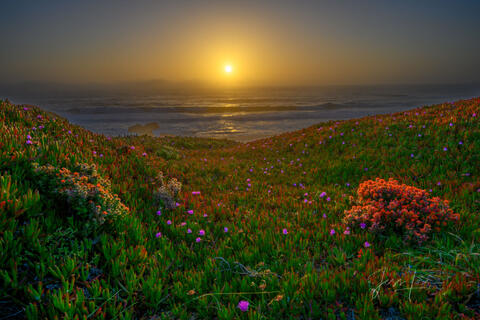 California Coast Beach Sunset Photo #11