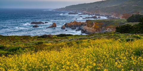 California Coast Photo #7