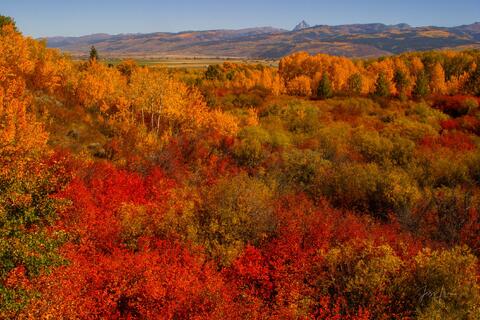 Teton Basin Autumn