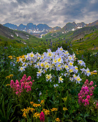 Colorado Alpine Boutique