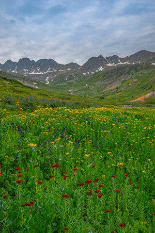 Crimson-Basin