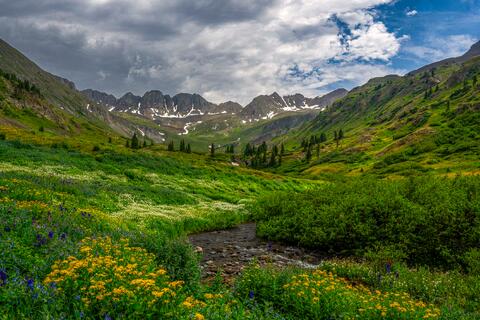 Alpine Flower Basin
