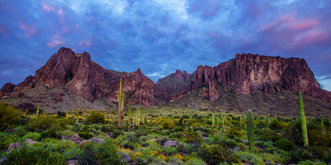 Superstition Spring