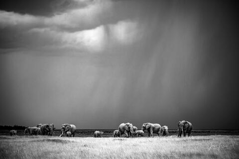 Welcome the Rain