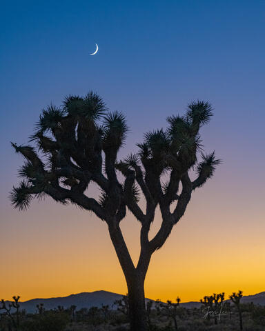 Observing the Moon #2