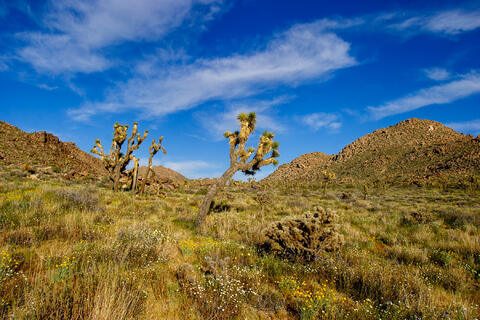 Windward