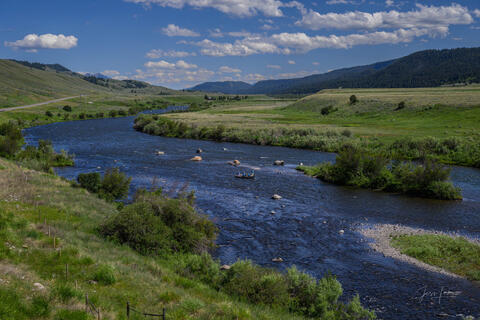 Madison River Run