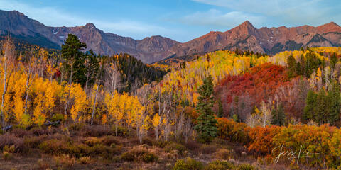 Colorado Fall Color Photography Print