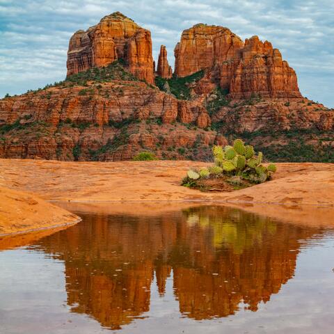 Beautiful Fine Art Photography Print of Cathedral Rock reflecting in a Pond. With Prickly Pear Cactus.