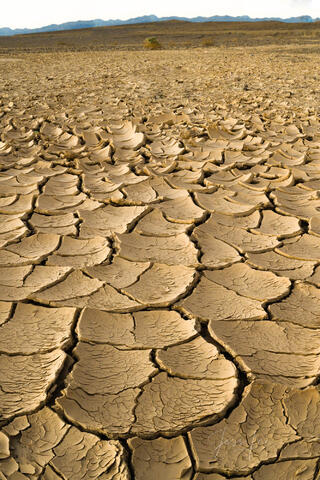 Death Valley Photography Print of mud cracks