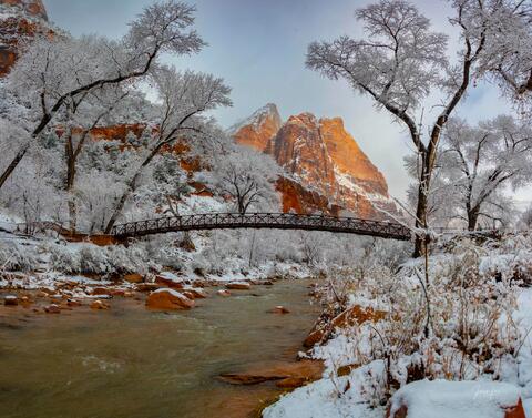 Winter’s Golden Bridge
