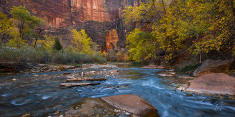 Autumn’s Flowing Sanctuary