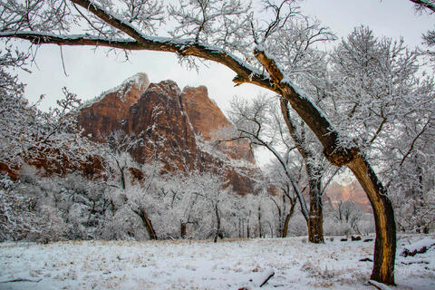 Zion's Winter Silence