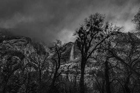 Yosemite Falls winter black and white fine art photography print — storm clouds, granite cliffs, bare oaks.
