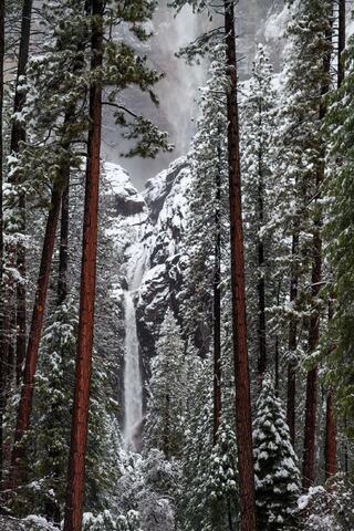 Yosemite Glowing Falls Photograph in Black and White