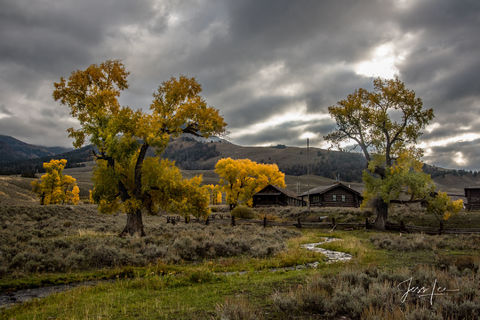 The Buffalo Ranch
